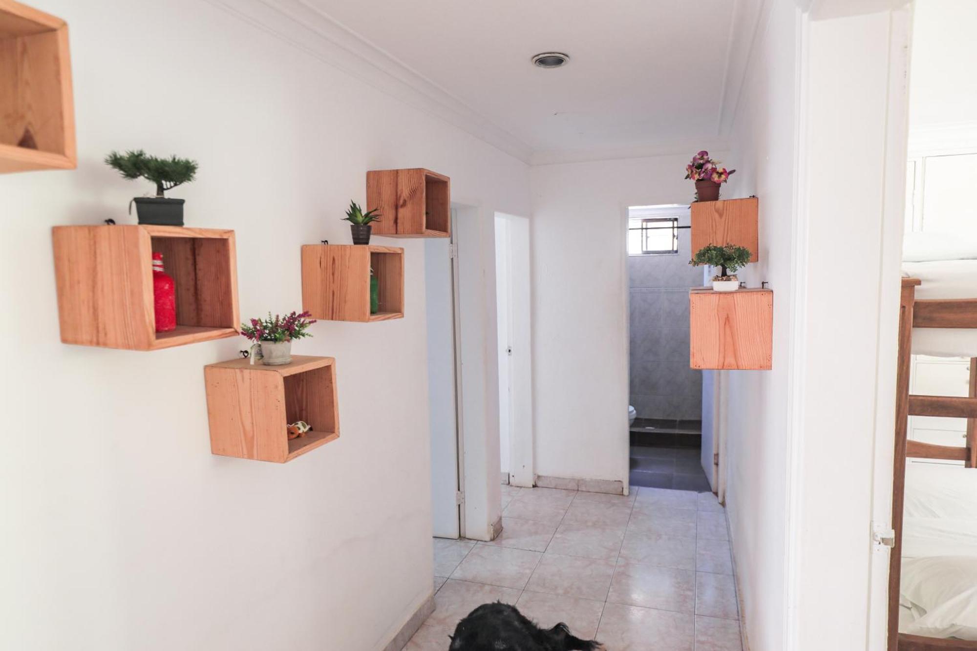 Hostal Palo Alto San Andrés Eksteriør billede